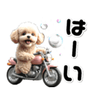 敬語♡バイク好き トイプードル（個別スタンプ：6）