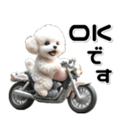 敬語♡バイク好き トイプードル（個別スタンプ：7）