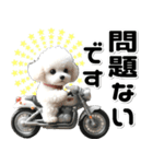 敬語♡バイク好き トイプードル（個別スタンプ：8）