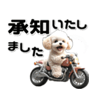 敬語♡バイク好き トイプードル（個別スタンプ：11）