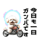 敬語♡バイク好き トイプードル（個別スタンプ：18）