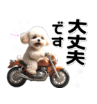 敬語♡バイク好き トイプードル（個別スタンプ：20）