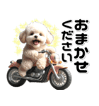 敬語♡バイク好き トイプードル（個別スタンプ：22）