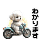 敬語♡バイク好き トイプードル（個別スタンプ：24）