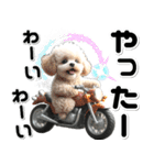 敬語♡バイク好き トイプードル（個別スタンプ：26）