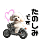 敬語♡バイク好き トイプードル（個別スタンプ：27）
