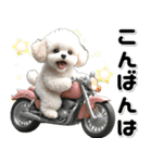 敬語♡バイク好き トイプードル（個別スタンプ：30）