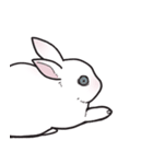 しろうさちゃんの日常スタンプ2（個別スタンプ：5）