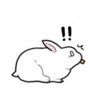 しろうさちゃんの日常スタンプ2（個別スタンプ：9）