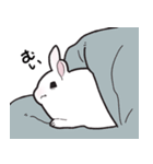 しろうさちゃんの日常スタンプ2（個別スタンプ：10）