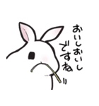 しろうさちゃんの日常スタンプ2（個別スタンプ：12）