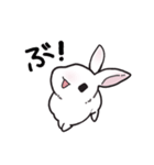 しろうさちゃんの日常スタンプ2（個別スタンプ：13）