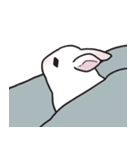しろうさちゃんの日常スタンプ2（個別スタンプ：15）