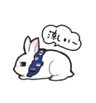 しろうさちゃんの日常スタンプ2（個別スタンプ：16）