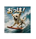波乗り！ちわまる！！（個別スタンプ：1）