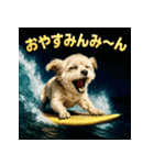 波乗り！ちわまる！！（個別スタンプ：4）