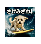 波乗り！ちわまる！！（個別スタンプ：6）