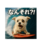 波乗り！ちわまる！！（個別スタンプ：12）