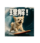 波乗り！ちわまる！！（個別スタンプ：15）