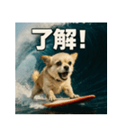 波乗り！ちわまる！！（個別スタンプ：16）