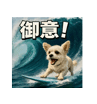 波乗り！ちわまる！！（個別スタンプ：17）