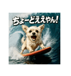 波乗り！ちわまる！！（個別スタンプ：19）