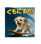 波乗り！ちわまる！！（個別スタンプ：26）