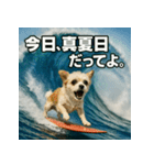 波乗り！ちわまる！！（個別スタンプ：29）