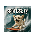 波乗り！ちわまる！！（個別スタンプ：33）