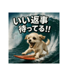 波乗り！ちわまる！！（個別スタンプ：34）