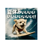 波乗り！ちわまる！！（個別スタンプ：38）