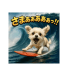 波乗り！ちわまる！！（個別スタンプ：39）