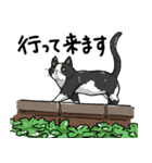 街角キャット（丁寧）（個別スタンプ：2）