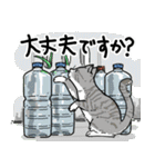 街角キャット（丁寧）（個別スタンプ：6）