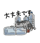 街角キャット（丁寧）（個別スタンプ：7）