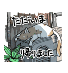 街角キャット（丁寧）（個別スタンプ：10）