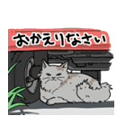 街角キャット（丁寧）（個別スタンプ：12）