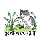 街角キャット（丁寧）（個別スタンプ：14）