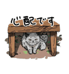 街角キャット（丁寧）（個別スタンプ：16）