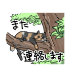 街角キャット（丁寧）（個別スタンプ：17）