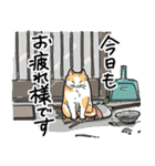 街角キャット（丁寧）（個別スタンプ：20）