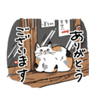 街角キャット（丁寧）（個別スタンプ：25）