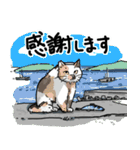 街角キャット（丁寧）（個別スタンプ：26）