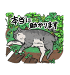 街角キャット（丁寧）（個別スタンプ：28）