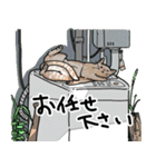 街角キャット（丁寧）（個別スタンプ：30）