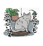 街角キャット（丁寧）（個別スタンプ：32）