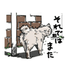 街角キャット（丁寧）（個別スタンプ：39）