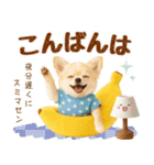 飛び出す癒しチワワのラフな敬語（個別スタンプ：3）