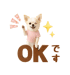 飛び出す癒しチワワのラフな敬語（個別スタンプ：5）
