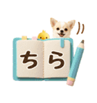 飛び出す癒しチワワのラフな敬語（個別スタンプ：16）